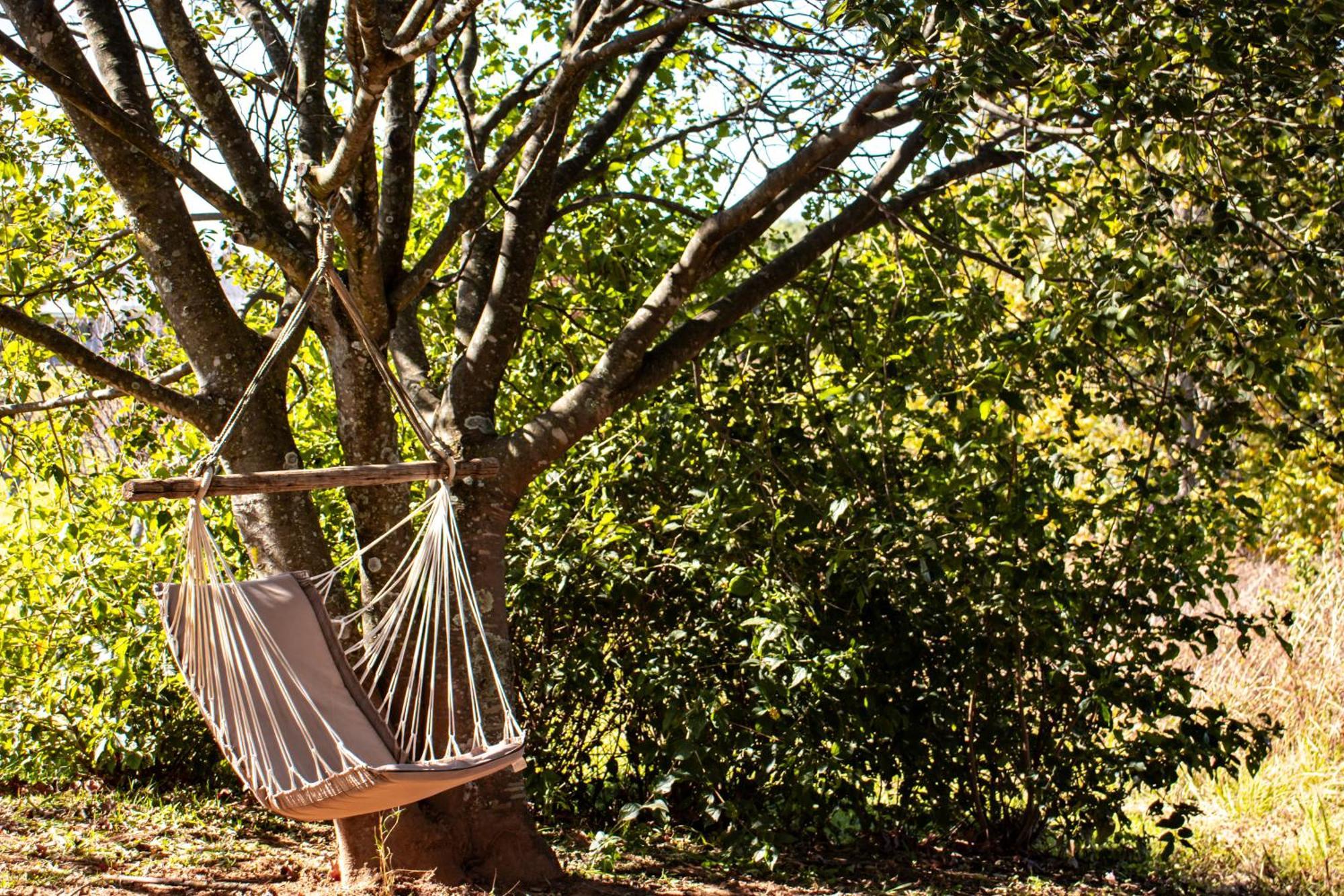 Tranquility Farmstays Уинтъртън Екстериор снимка